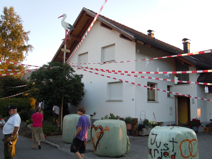 bild (31)